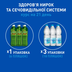 Здоровье почек и мочевыделительной системы (курс)